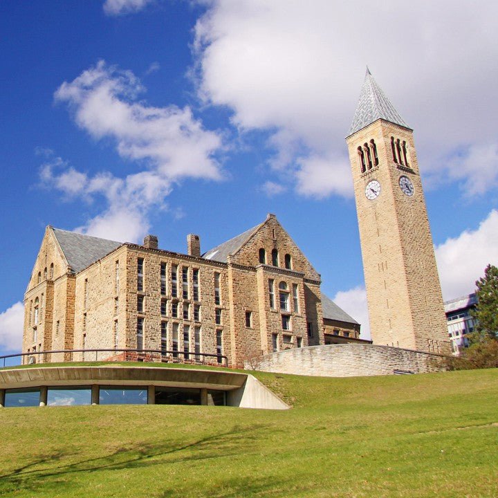 Admission Guidance Cornell University New York USA - Ivy Routes Study Abroad Consultants